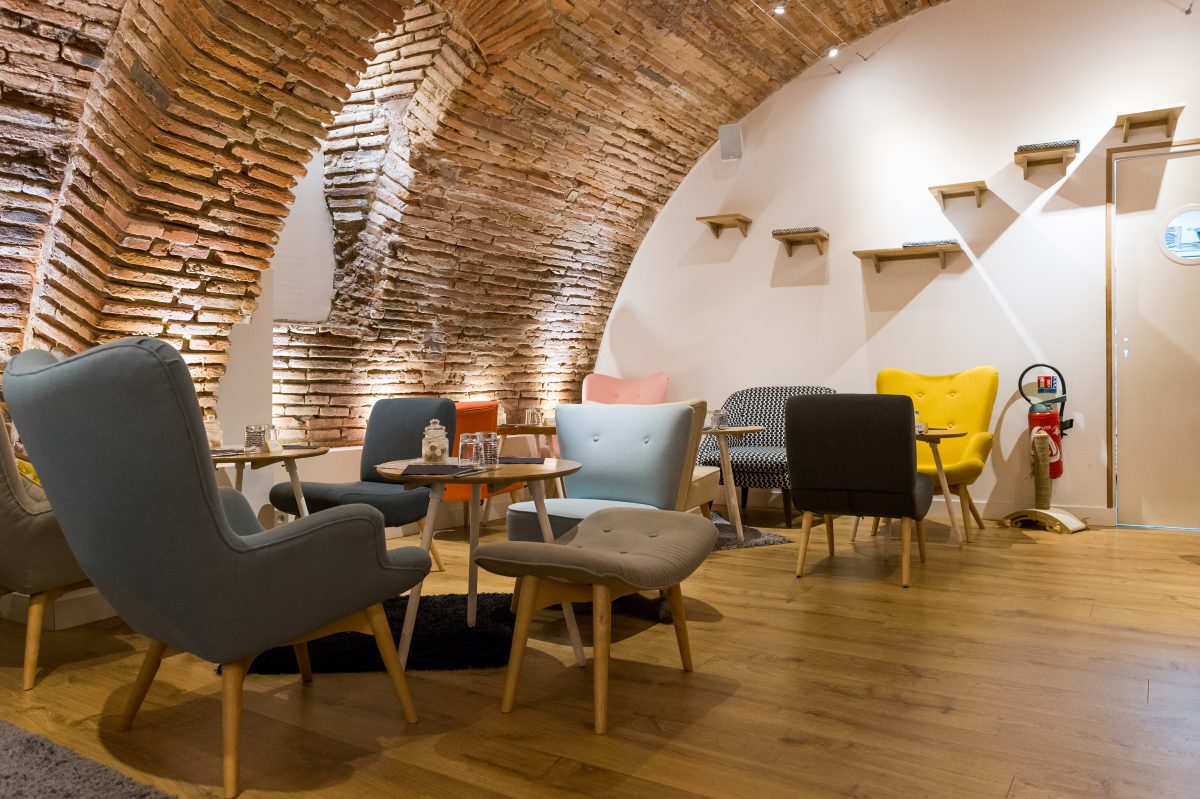 Chapristea — Cafés à Animaux (chats, chiens...) — Toulouse