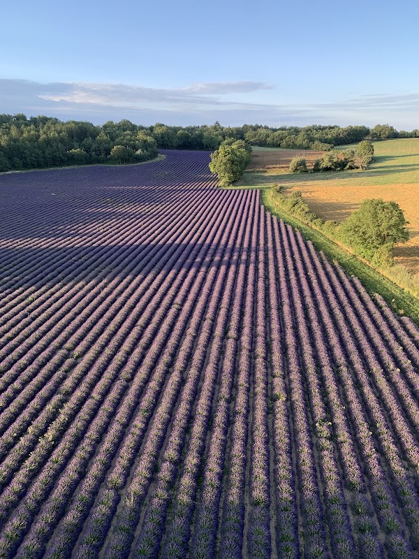 Aéronefs & Aérostats de Provence — Vol en montgolfière — Puimoisson