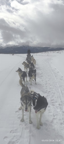 Terre Sauvage Ariège — Cani-Rando — Massat