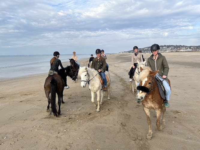 La Mangeoire — Balade à cheval — Deauville
