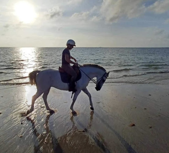 Centre Équestre de L’Herbaudière — Balade à cheval — Noirmoutier-en-l'Île