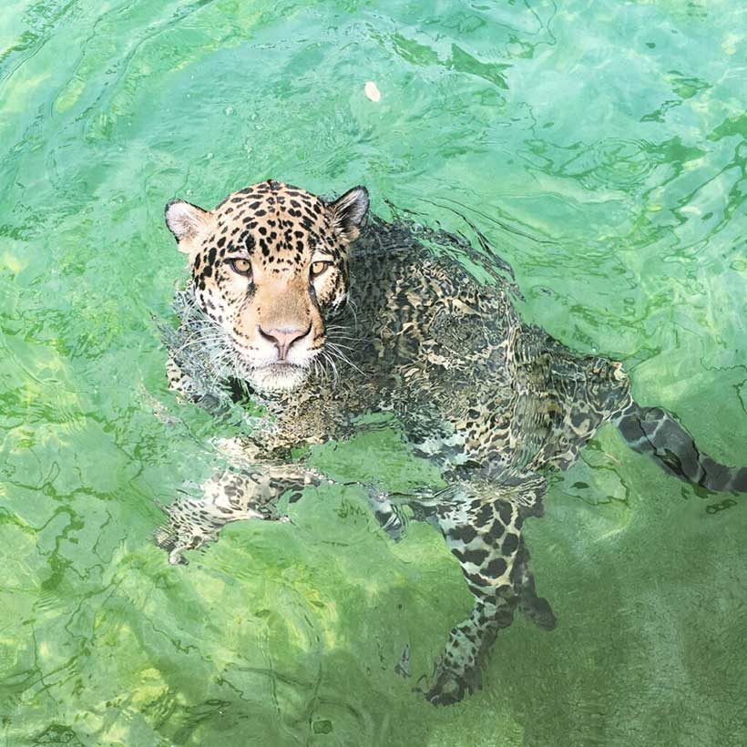 Zoo de Bordeaux-Pessac — Visite d'un Zoo / Parc zoologique — Pessac