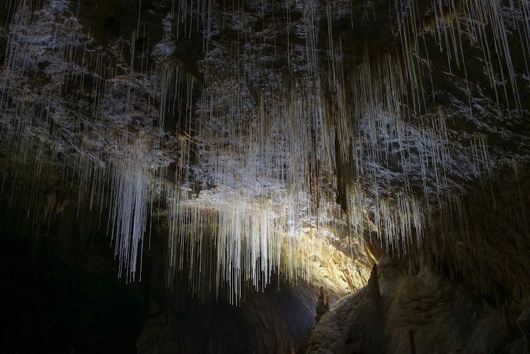 Grotte de Choranche - milliers de fistuleuses au fil de deux rivières — Choranche