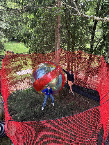 GAIA LOISIRS 2.0 - — Balade à cheval — Lamoura