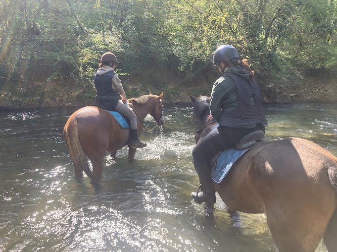 EquiNatur’Eau - balades à cheval dans la vallée de la Charente, les pieds dans l’eau — Balade à cheval — Taizé-Aizie