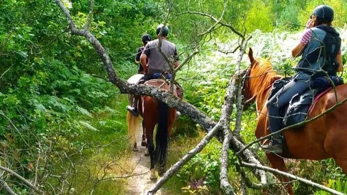 Cheval Nature — Balade à cheval — Le Tartre-Gaudran
