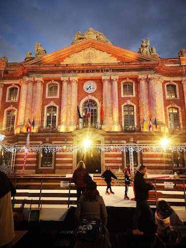Capitole de Toulouse - visite des salles historiques et de la Salle des Illustres — Patrimoine — Toulouse