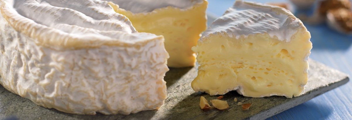 Village Fromager Graindorge — Livarot, Pont-l’Évêque et Camembert AOP avec dégustation — Visite de fabrique gourmande & spécialités du terroir — Livarot-Pays-d'Auge