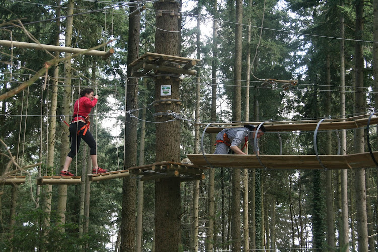 Acroforest