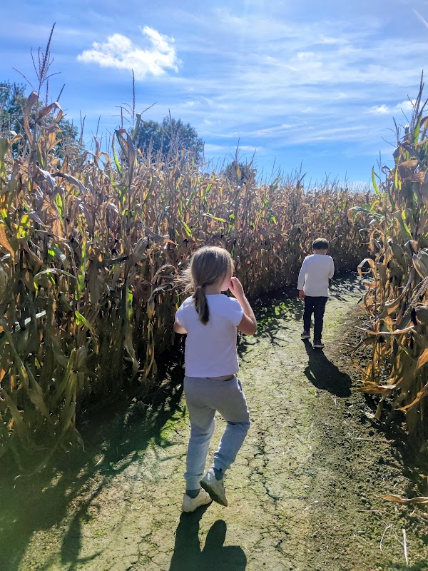 Escape Game Farmer - labyrinthe de maïs 77 — Labyrinthes végétaux — Villeneuve-le-Comte