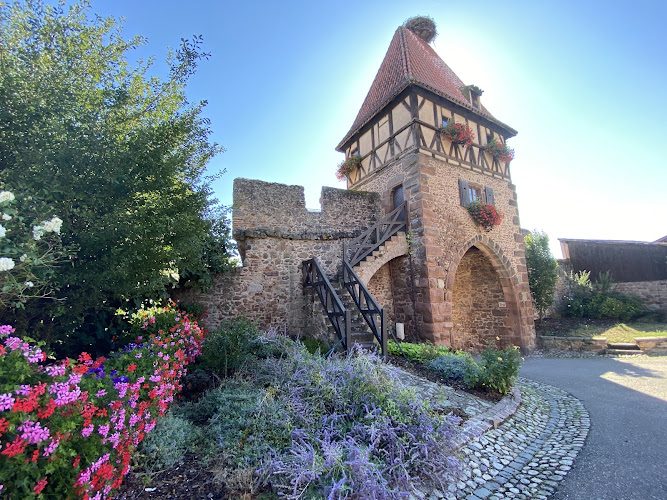 Tour des Sorcières - Patrimoine - Châtenois