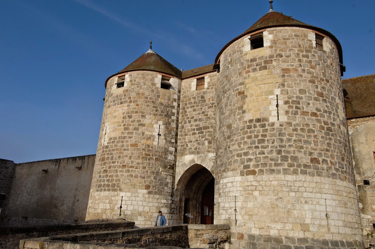Château de Dourdan — Visiter un château — Dourdan
