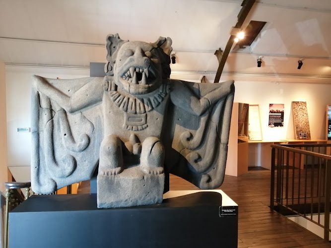 Muséum d’Histoire naturelle de Bourges - biodiversité, évolution et chauves-souris — Musées d'histoire naturelle — Bourges
