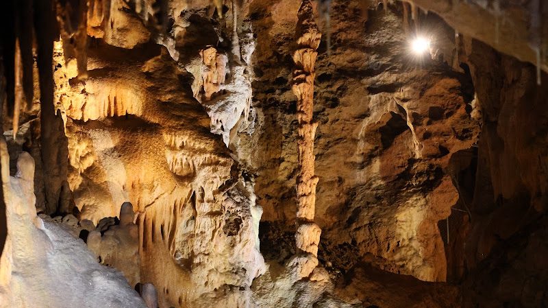 Grotte du Bosc - disques, choux-fleurs et concrétions à Saint-Antonin-Noble-Val