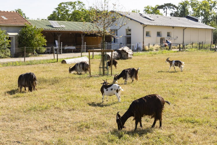 La Ferme de Paris — Ferme éducative — Paris