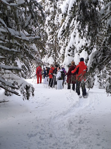 Evolution 2 - Morzine — Cours de ski et snowboard — Morzine