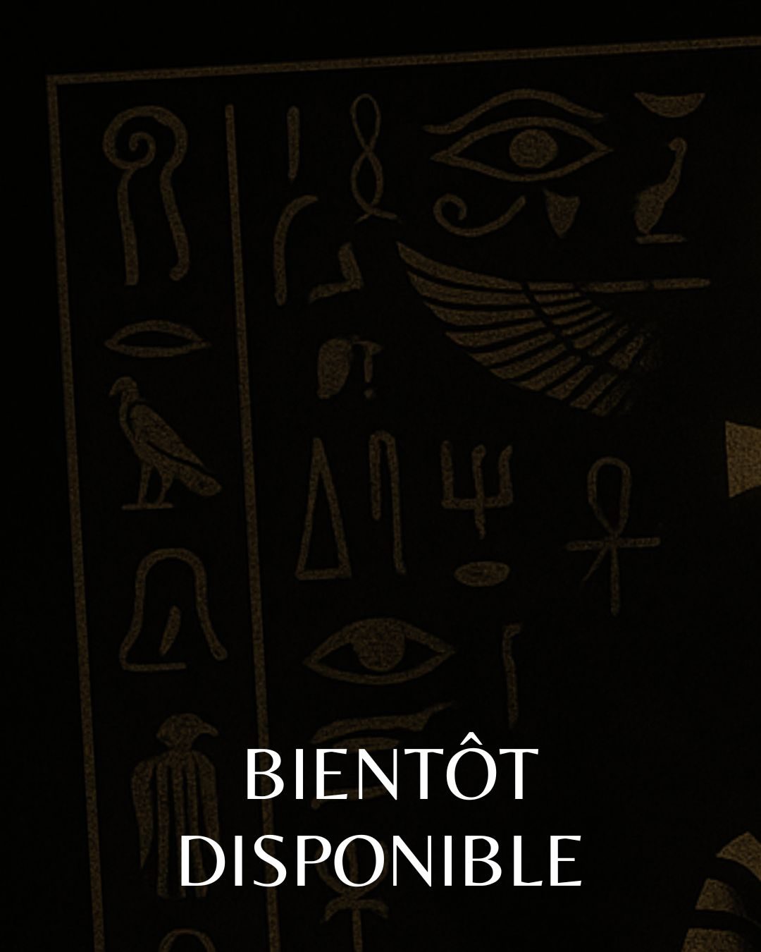 Crack The Egg — Escape Game — Paris