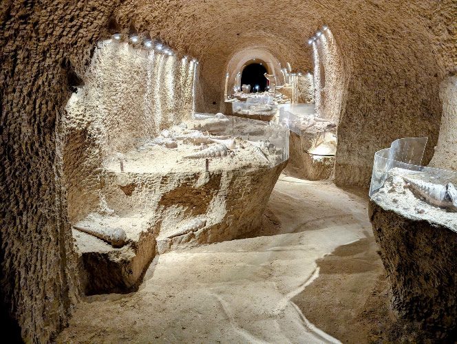 La Cave aux Coquillages - fossiles marins vieux de 45 millions d’années - Musées de sciences et technologies - Fleury-la-Rivière