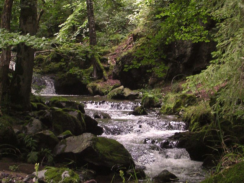 Cascades de Chiloza - boucle de 6 km le long de la Couze Pavin — Randonnée pédestre — Besse-et-Saint-Anastaise
