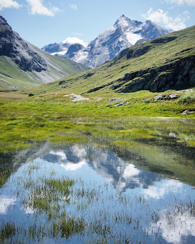 Réserve naturelle nationale de la Grande Sassière — Observation de la faune et des oiseaux — Tignes