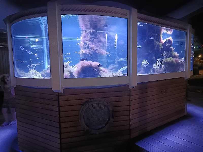 Aquarium La Madrague