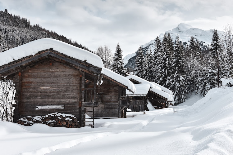 Hameau des Alpes — cueillette et cuisine des plantes sauvages à La Clusaz — Cueillette & Agritourisme — La Clusaz