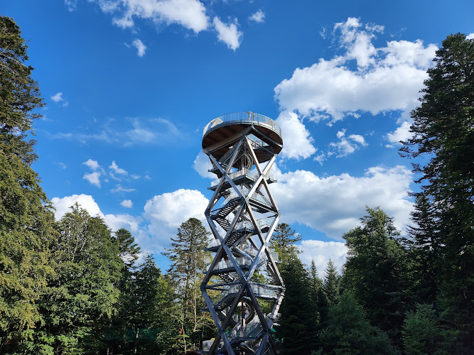 Parc d'Activités de Montagne de Prabouré — Mountain Kart — Saint-Anthème