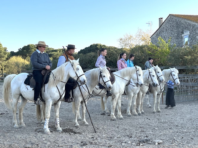 Compagnie des bateaux d Aigues-Mortes Croisière de Camargue — Dîner-croisière & croisière gourmande — Aigues-Mortes