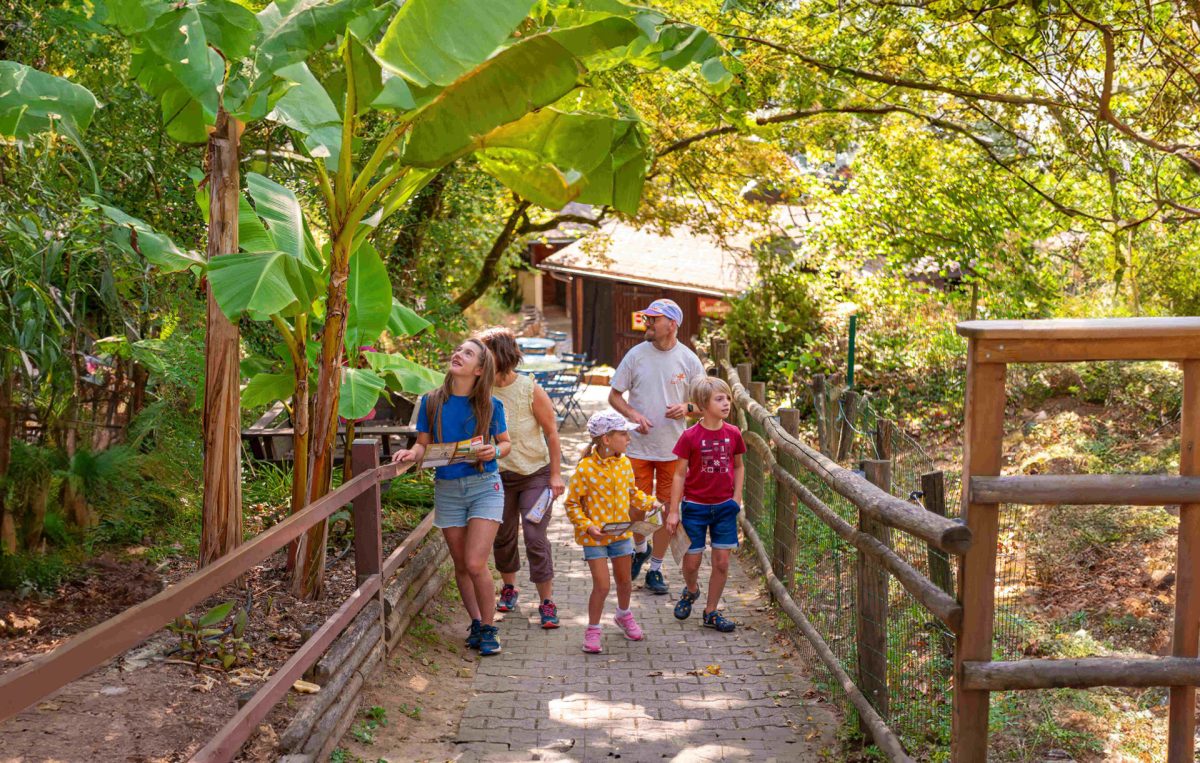 Miripili, l'île aux pirates — Parcs d'attraction — St Antoine l'Abbaye