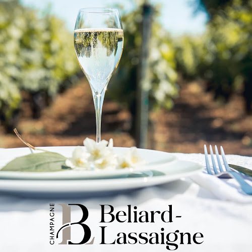 Champagne Beliard Lassaigne - Découverte des terroirs et vignobles & dégustations - Montgueux