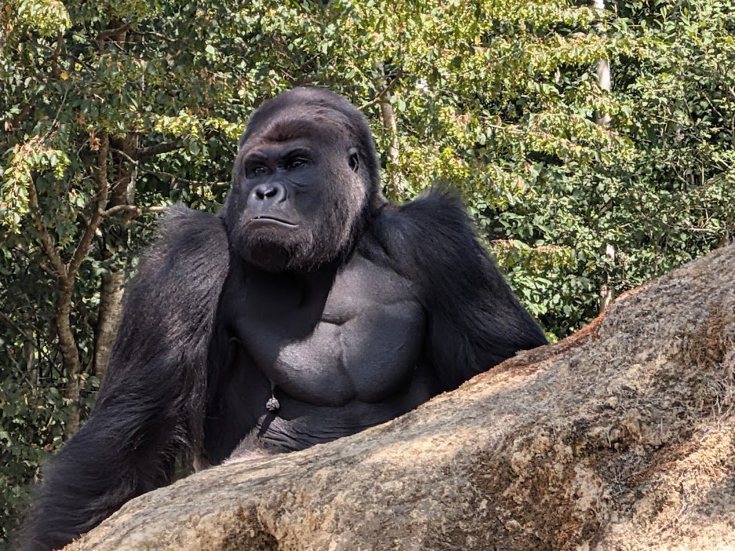 Zoo de La Boissière du Doré