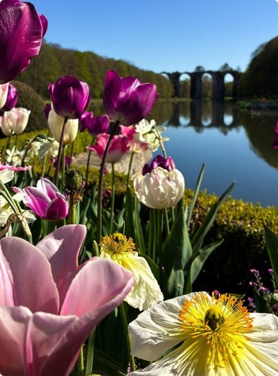 Château de Maintenon — Patrimoine — Maintenon