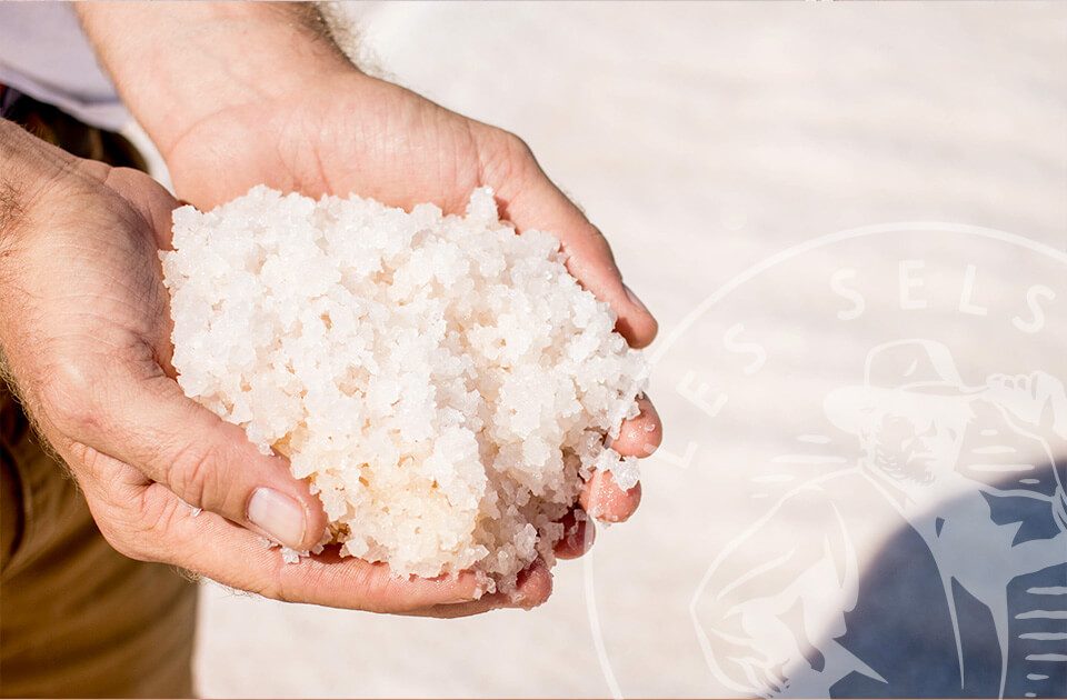 Le Salin de l'île Saint-Martin de Gruissan — Visite de fabrique gourmande & spécialités du terroir — Gruissan