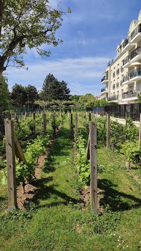 Clos Saint-Vincent à Noisy-le-Grand - visite du chai et dégustation - Découverte des terroirs et vignobles & dégustations - Noisy-le-Grand