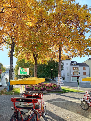 Location de rosalies à Bourbonne-les-Bains - Office de Tourisme — Bourbonne-les-Bains