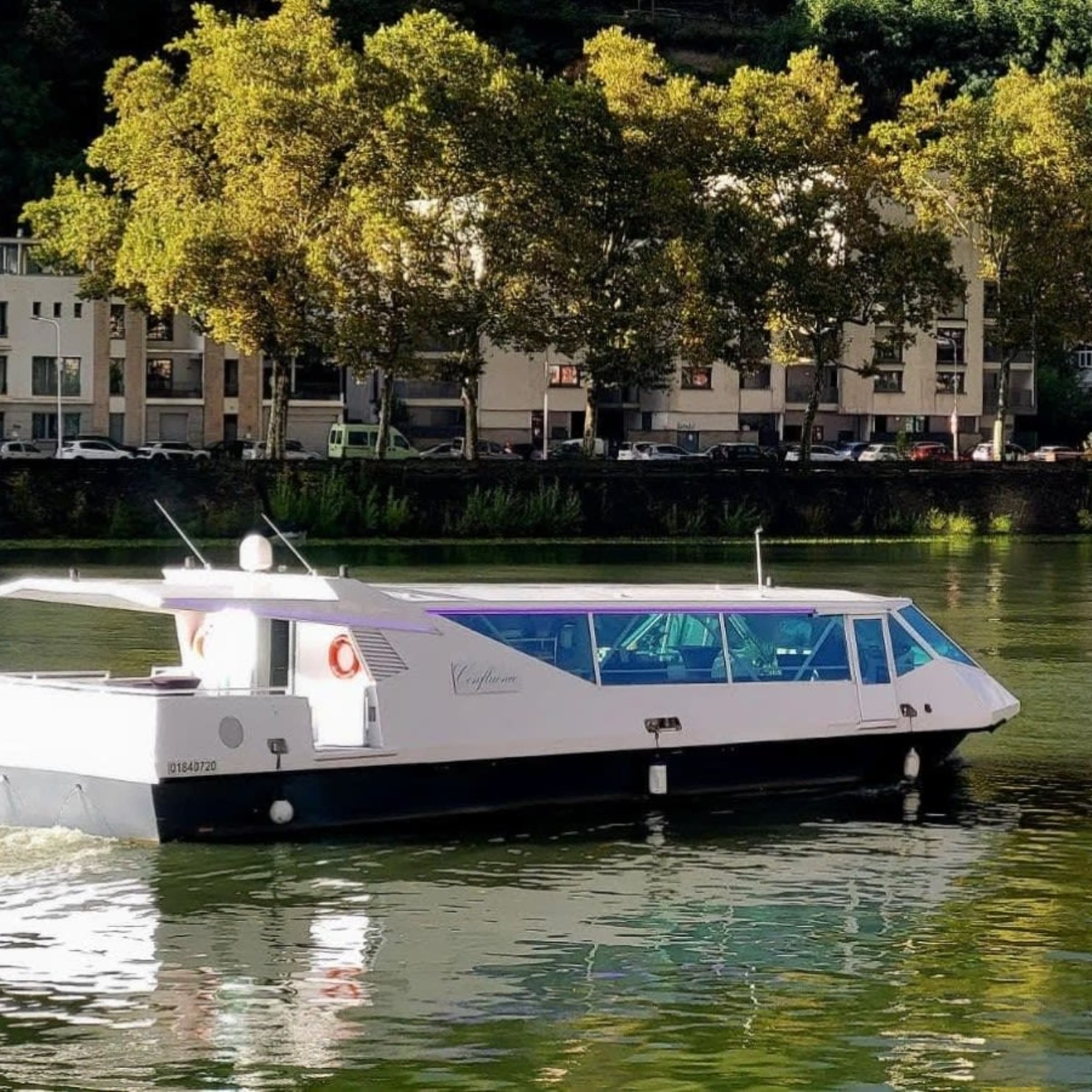 Les Croisières du Musée Jean Couty à Lyon