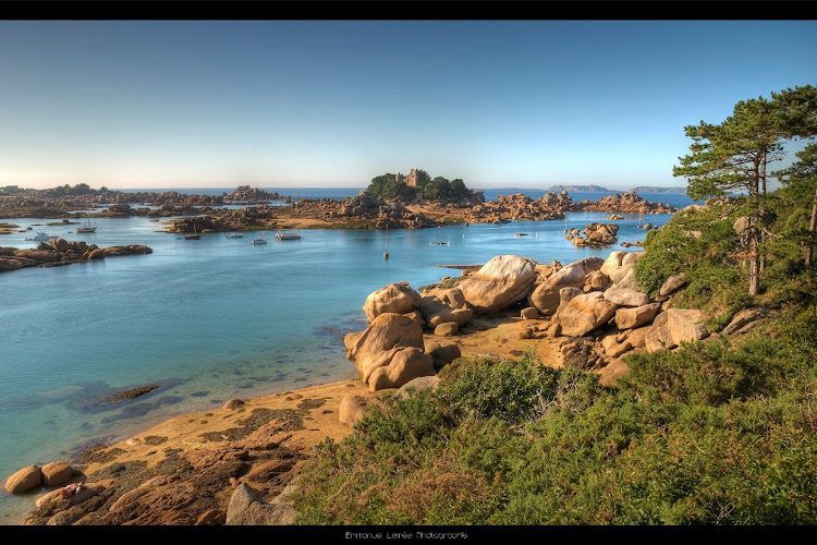 Escapade Glaz - algues et plantes sauvages sur la Côte de Granit Rose — Cueillette sauvage & balades botaniques — Trégastel